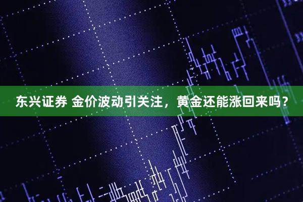 东兴证券 金价波动引关注，黄金还能涨回来吗？