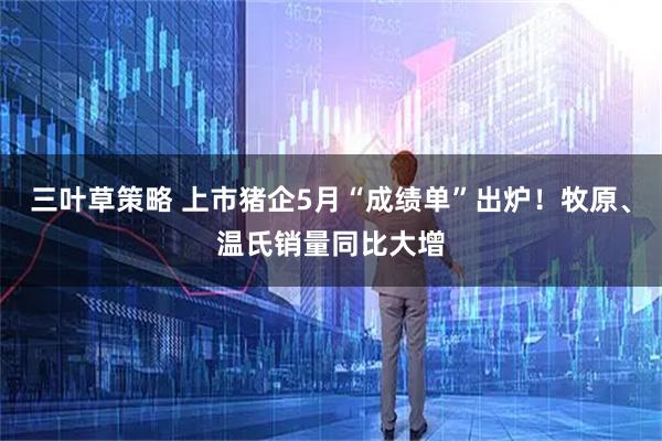 三叶草策略 上市猪企5月“成绩单”出炉！牧原、温氏销量同比大增