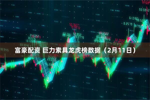 富豪配资 巨力索具龙虎榜数据（2月11日）