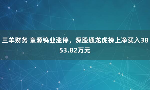 三羊财务 章源钨业涨停，深股通龙虎榜上净买入3853.82万元