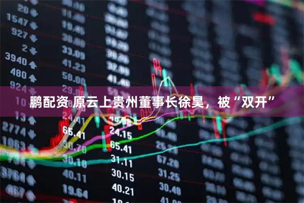 鹏配资 原云上贵州董事长徐昊，被“双开”