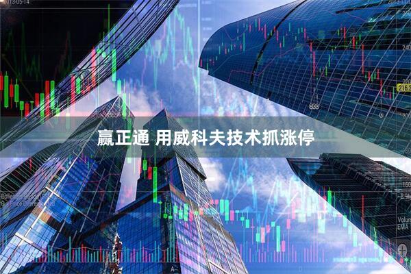 赢正通 用威科夫技术抓涨停