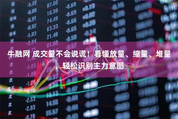 牛融网 成交量不会说谎！看懂放量、缩量、堆量，轻松识别主力意图