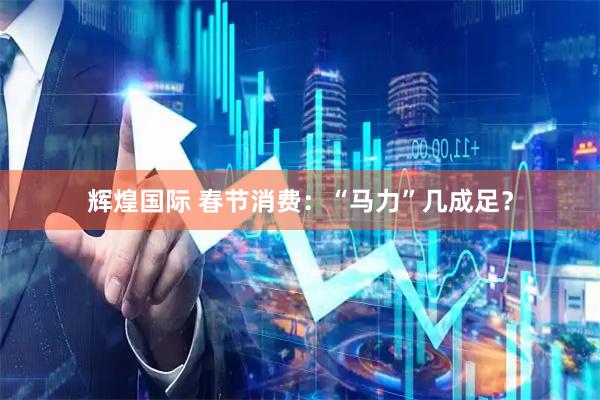 辉煌国际 春节消费：“马力”几成足？