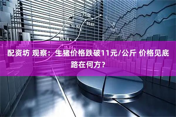 配资坊 观察：生猪价格跌破11元/公斤 价格见底路在何方？